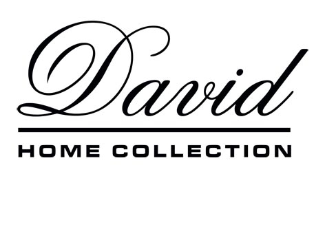 LOGO-DAVID
